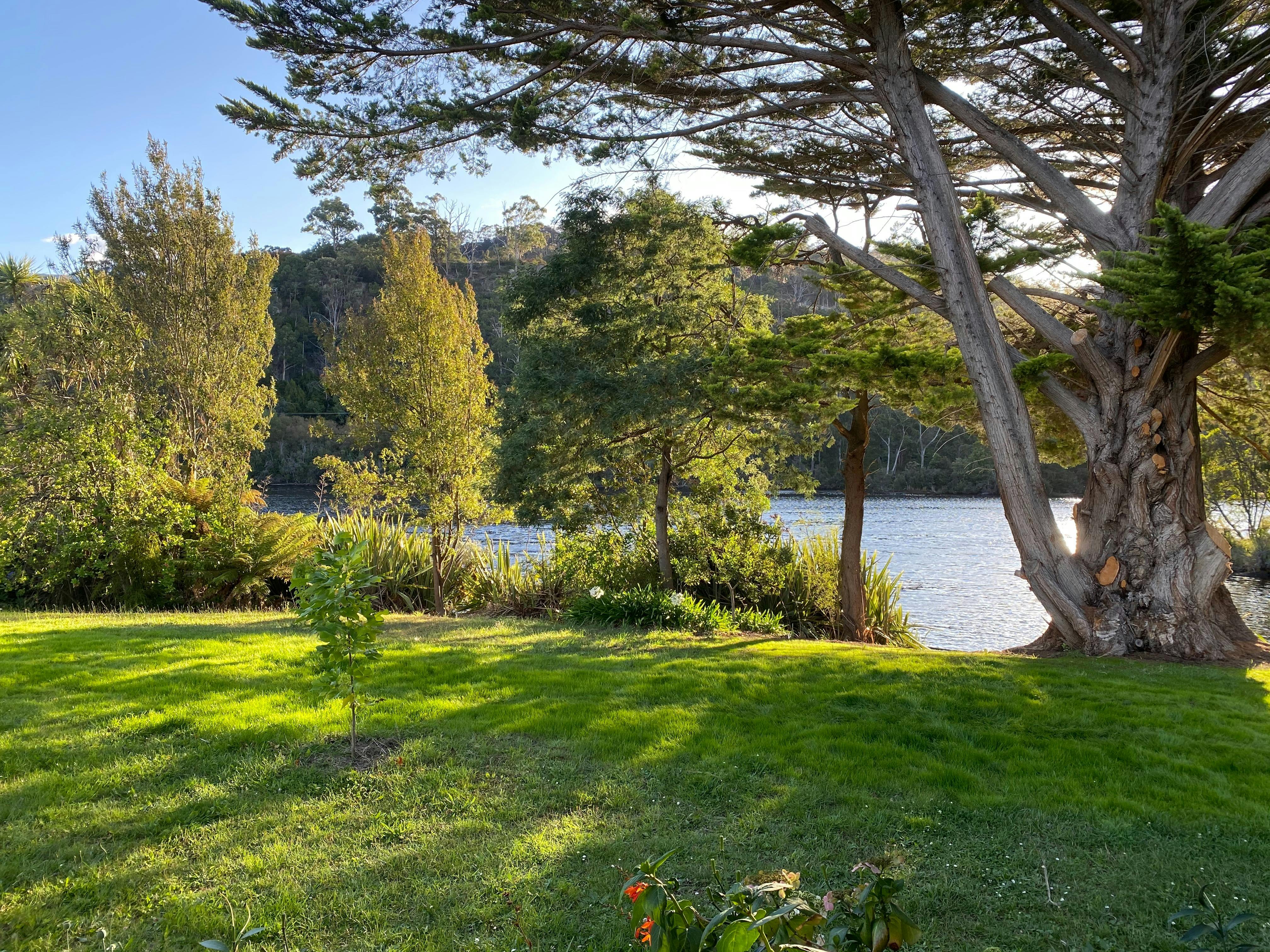 Front Yard and River