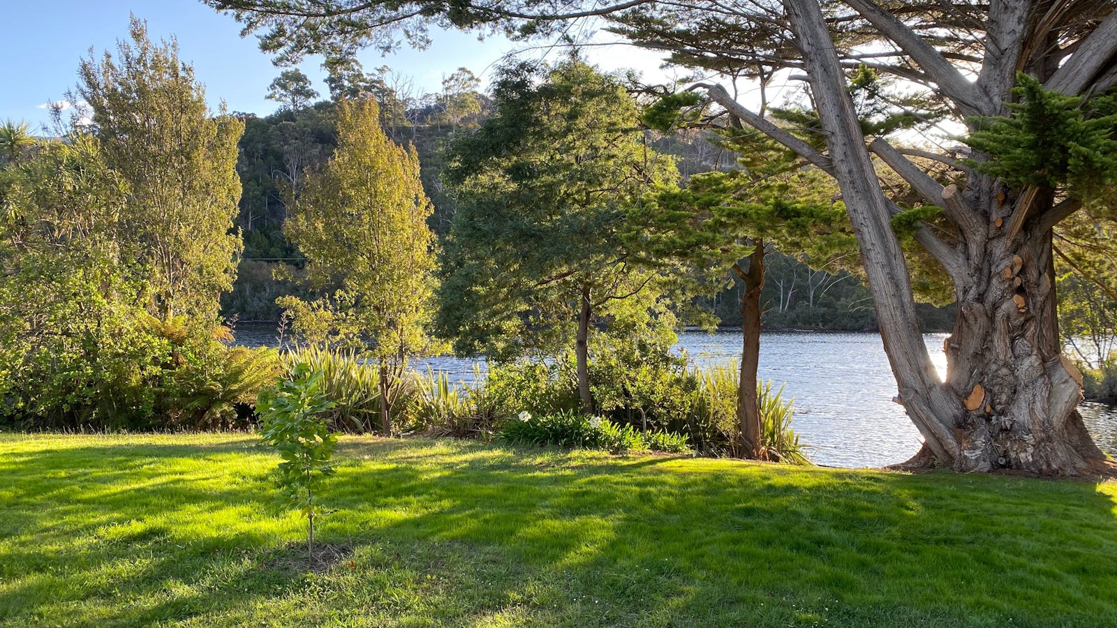Front Yard and River