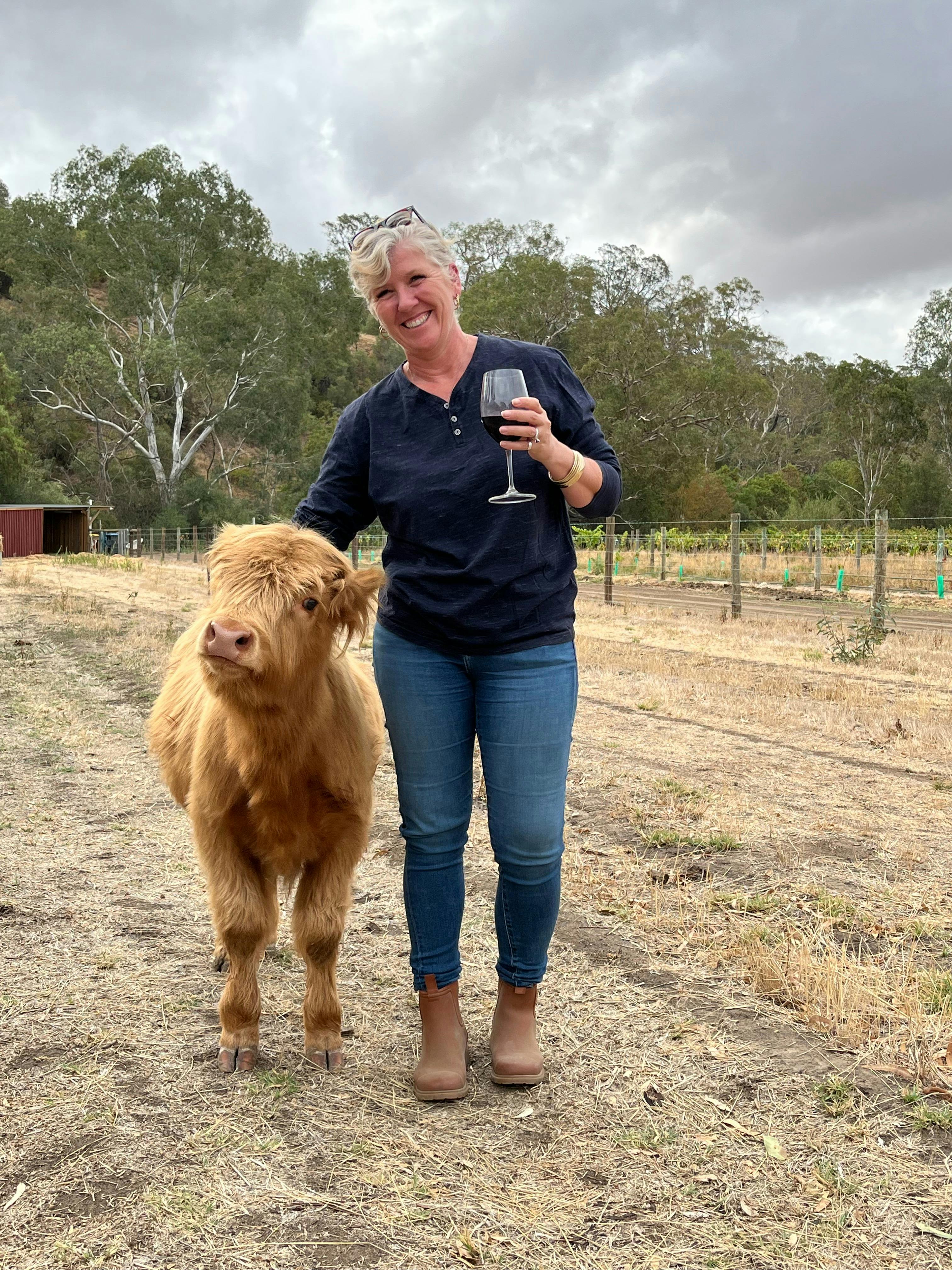 Pat & Paint - Barossa 1887 Highland Cows Experience