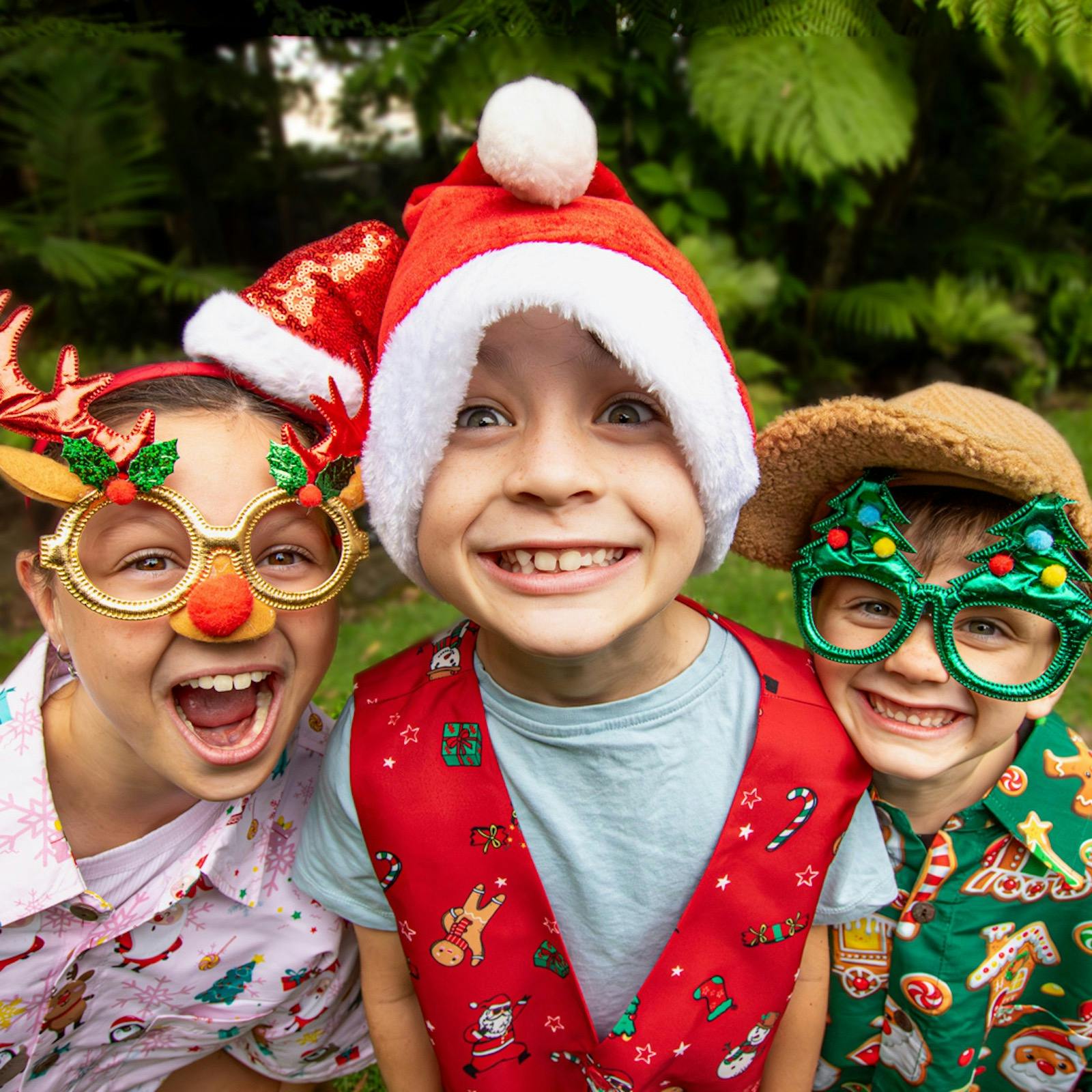 Wild Christmas