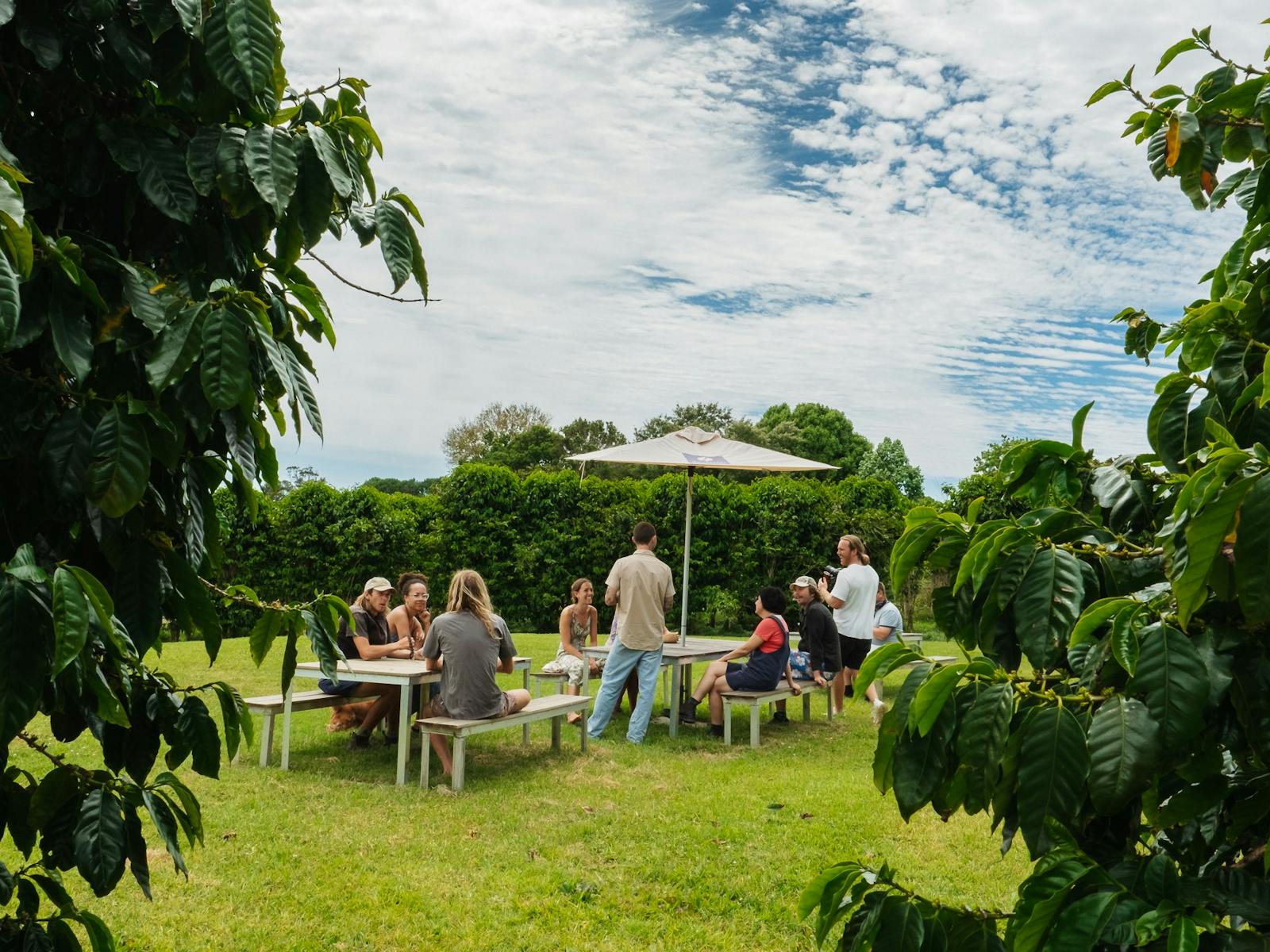 Visitors enjoying coffee on our farm