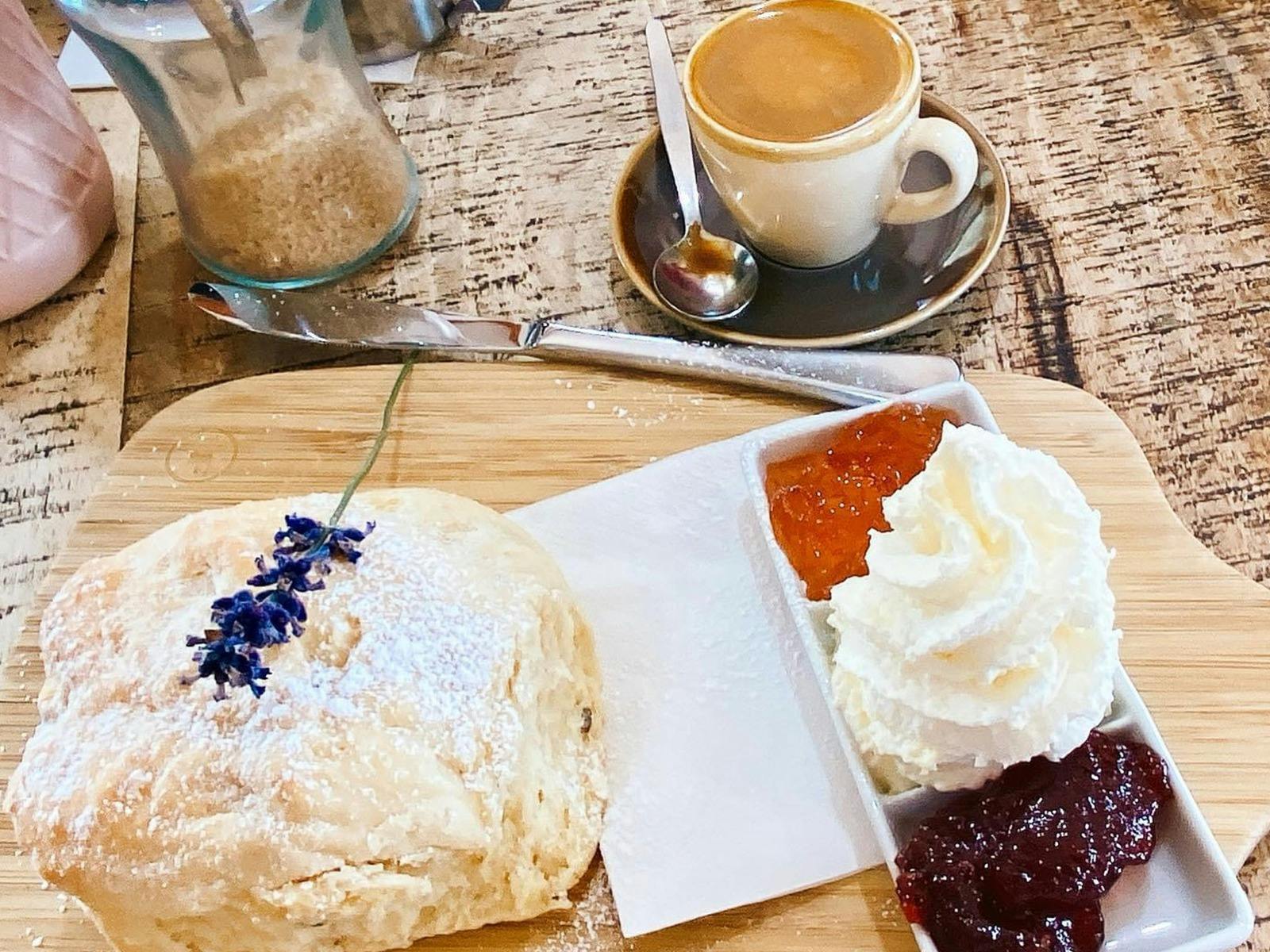 Scones, cream and tea from the lavender farm