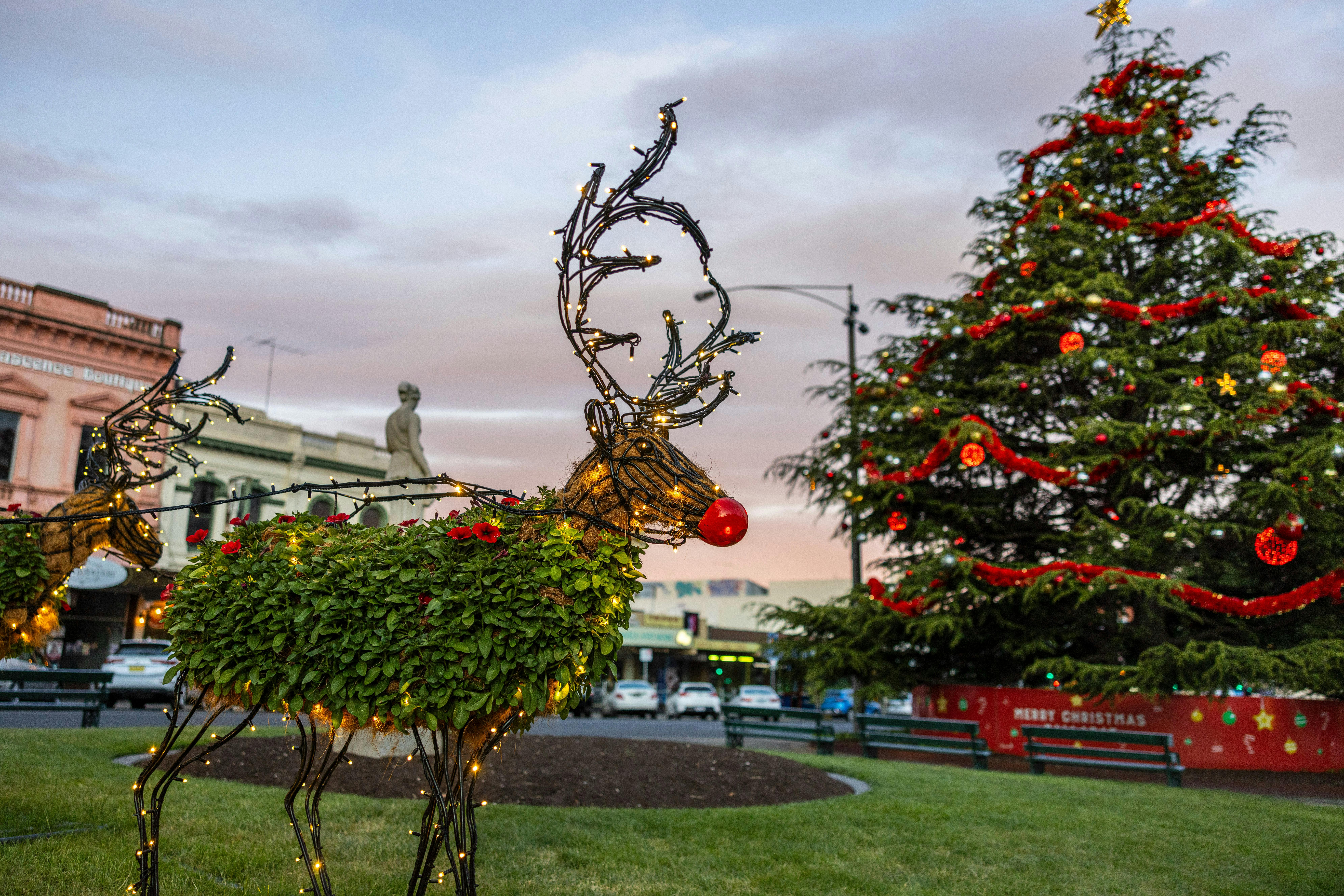 Christmas in Ballarat Floral Reindeer and Santa Sleigh