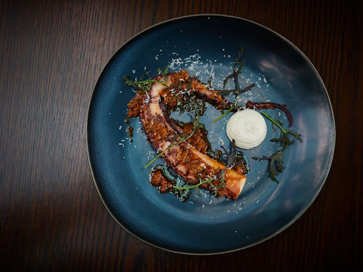 Octopus, almond cream, chermoula, red elk