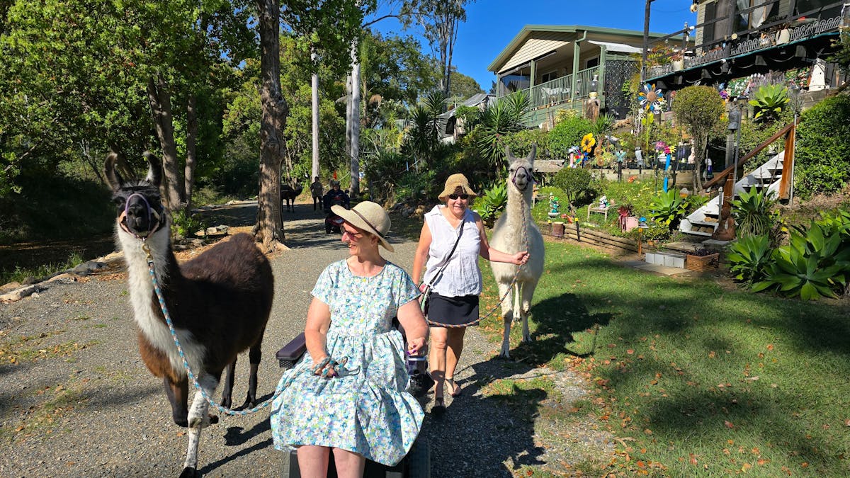 Prince escorting a lovely lady on the trail