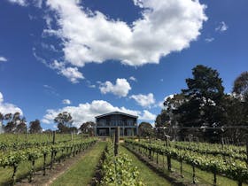 Mortimer's Wines - The Vines Studio and Canopy Loft