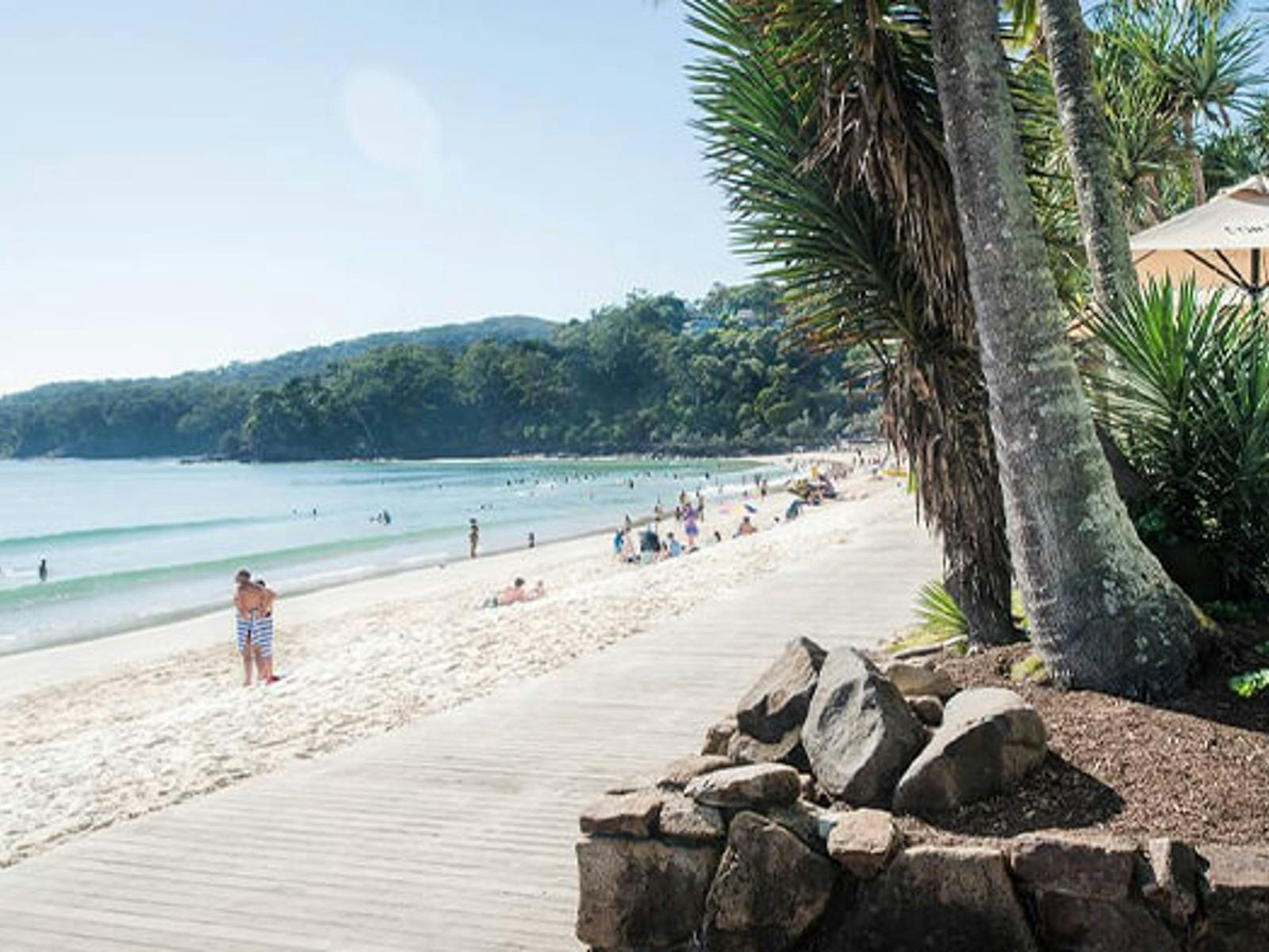 Coast to Hinterland Tours
