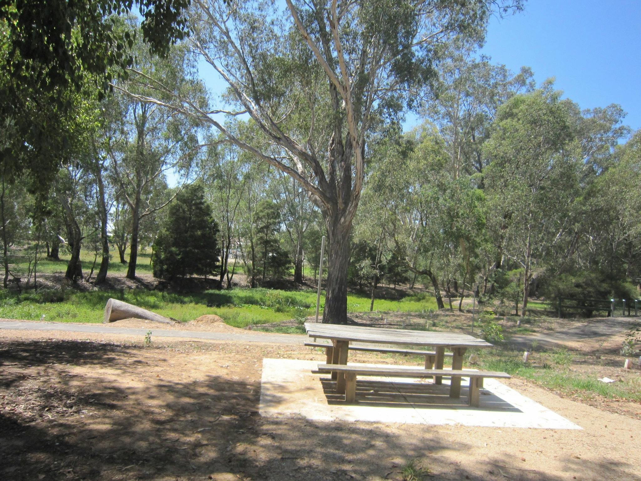 Picnic table, share cycling and walking track, trees, grass, wetland is distance