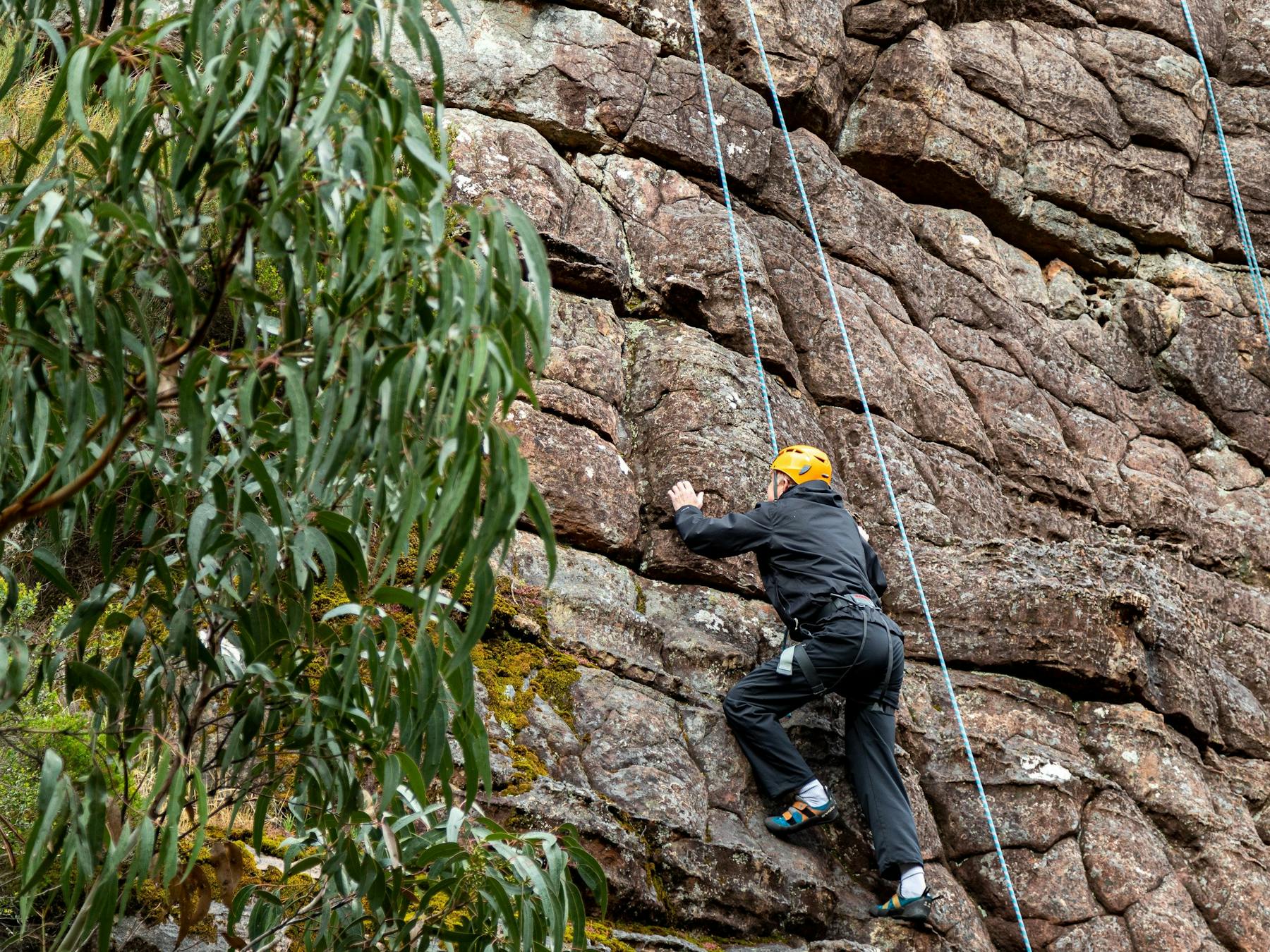 Person rock climbing