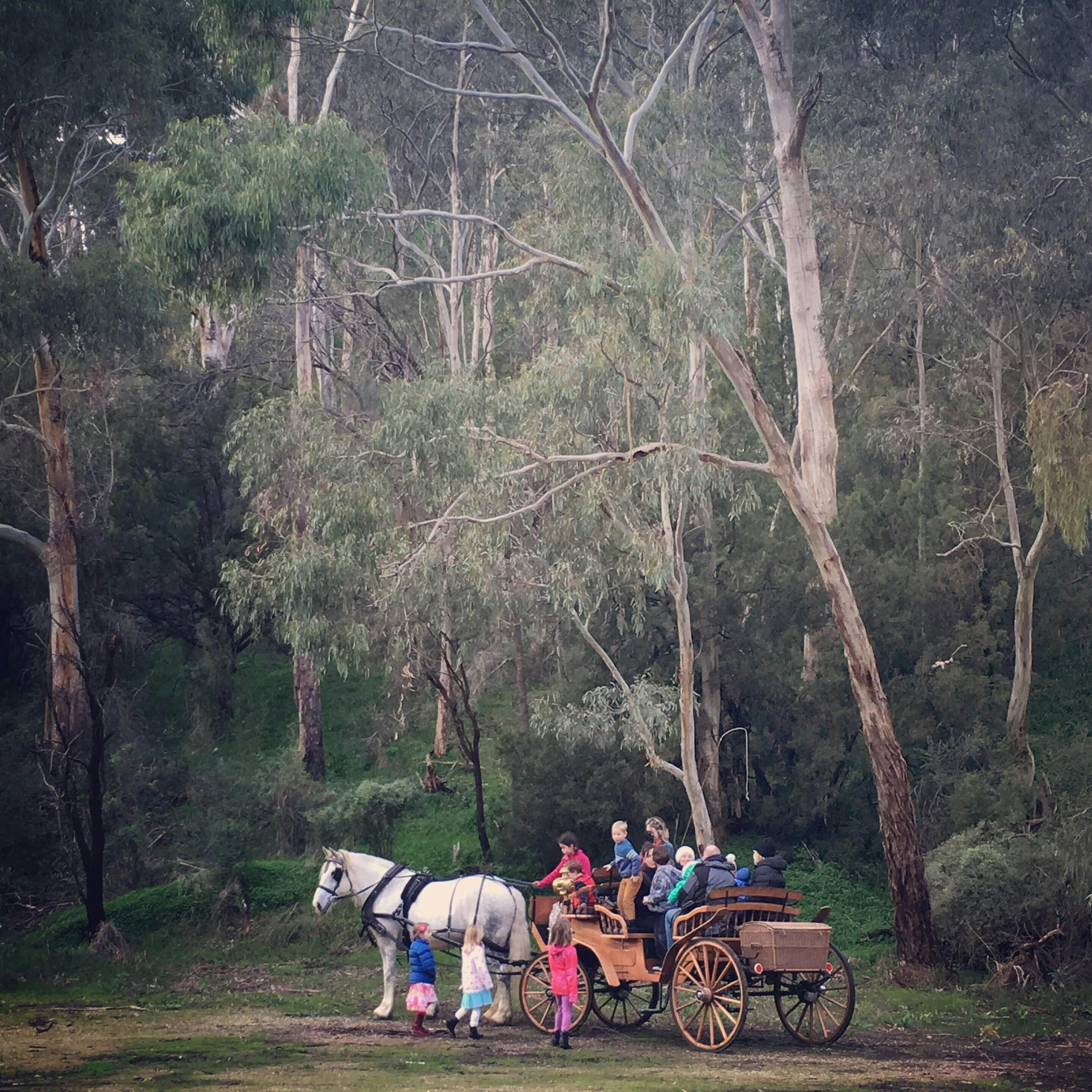 Montacute Valley Ride