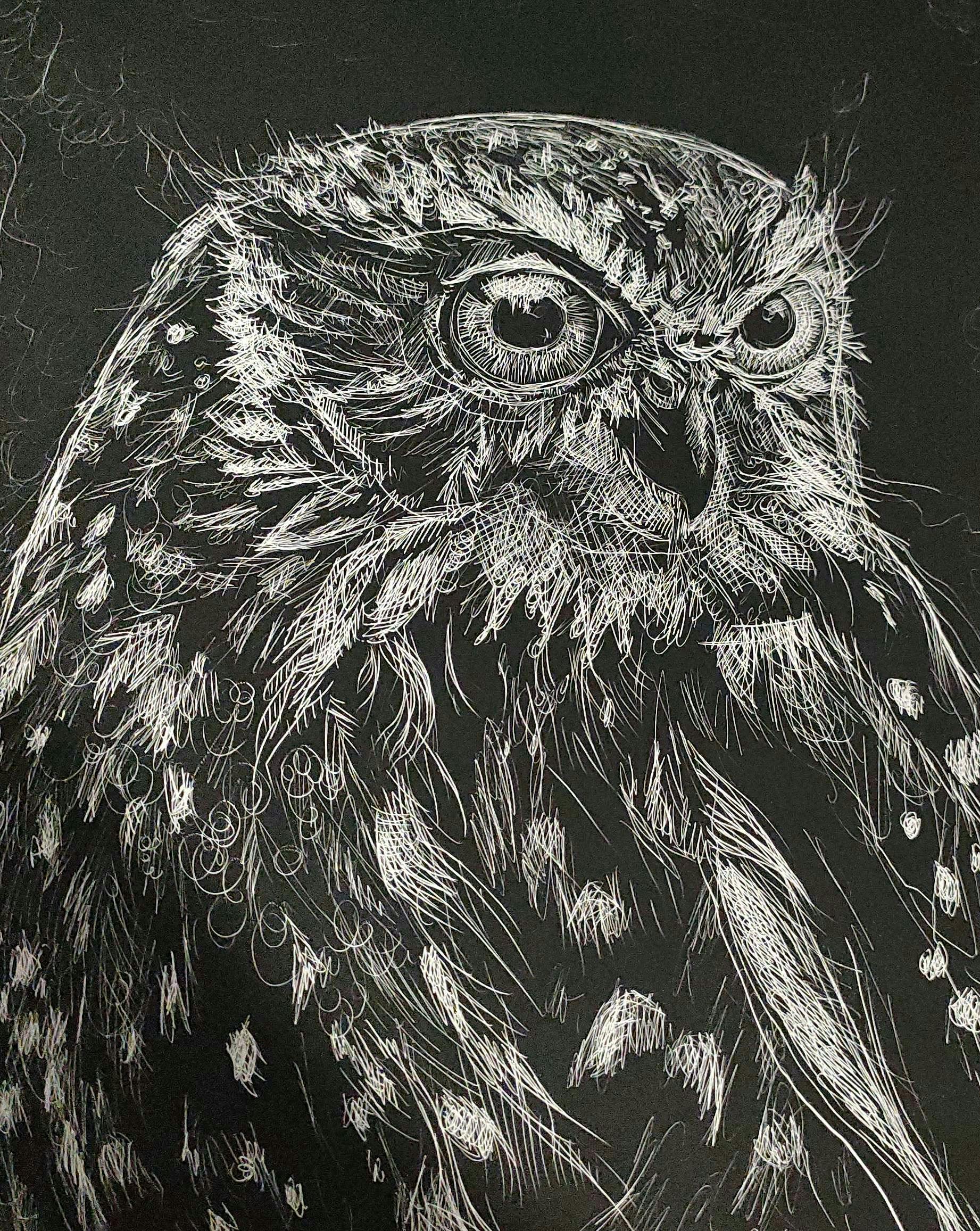scratch art, owl,