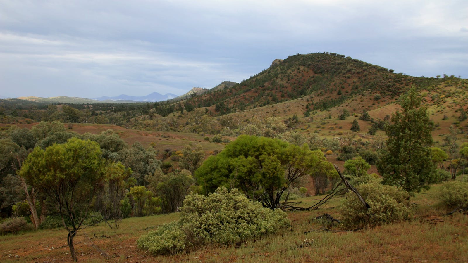 Brachina Gorge Geological Trail