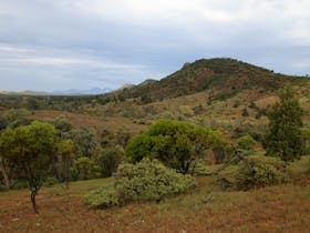 Brachina Gorge landscape