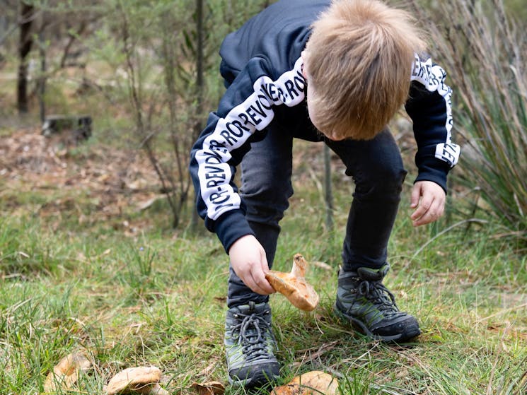 family foraging