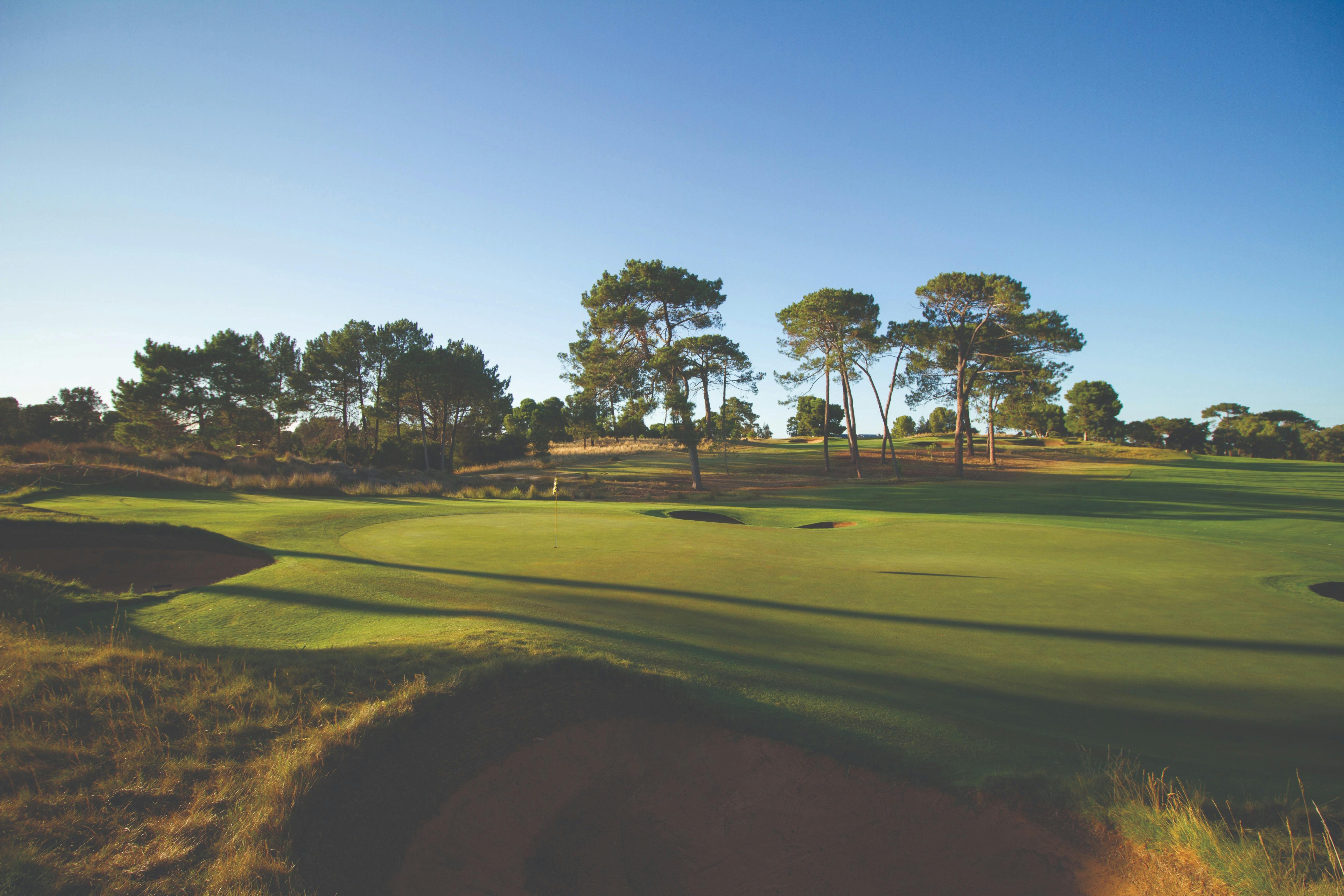 Four Reds Golf & Wine Tours