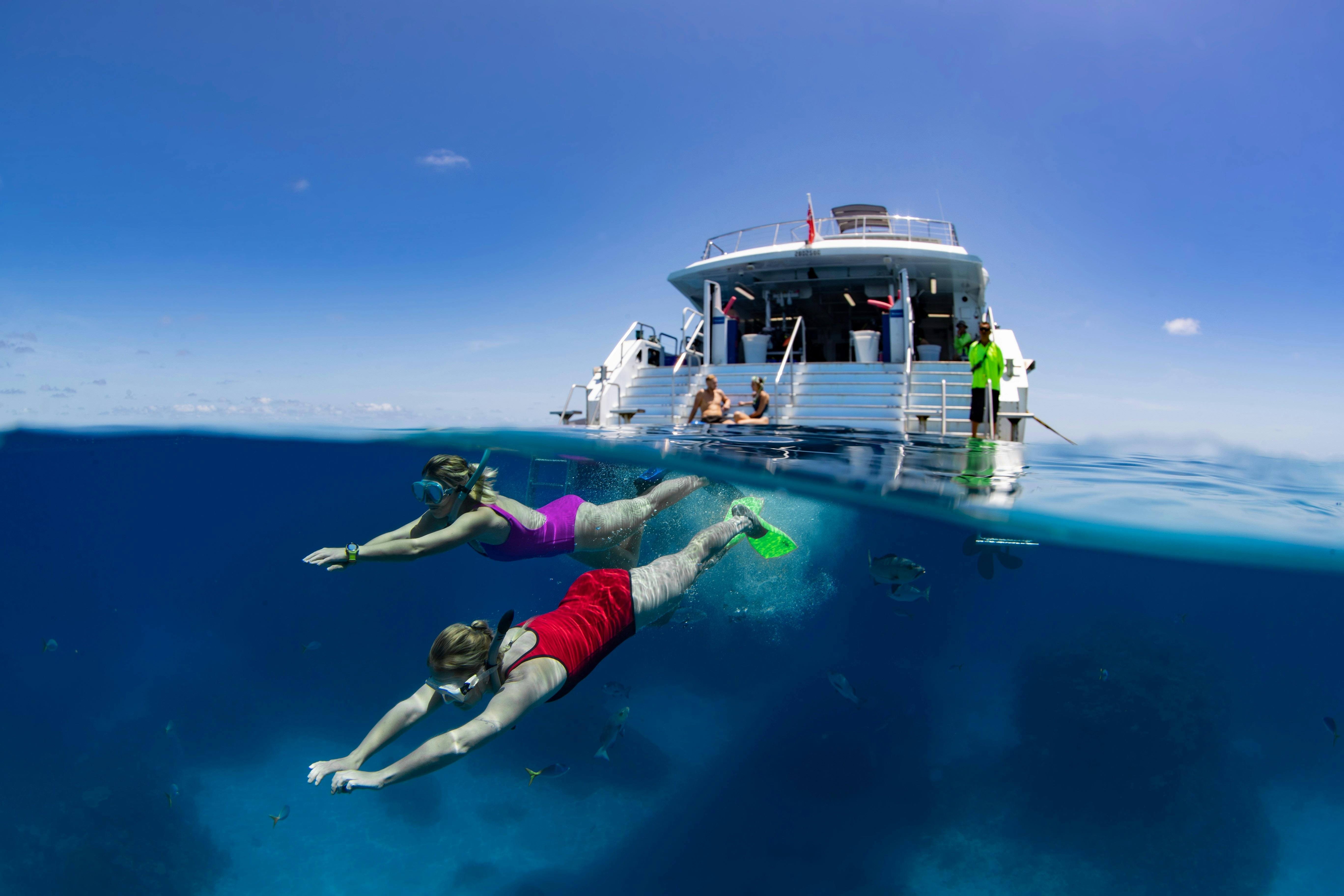 Silverswift Dive and Snorkel Adventures