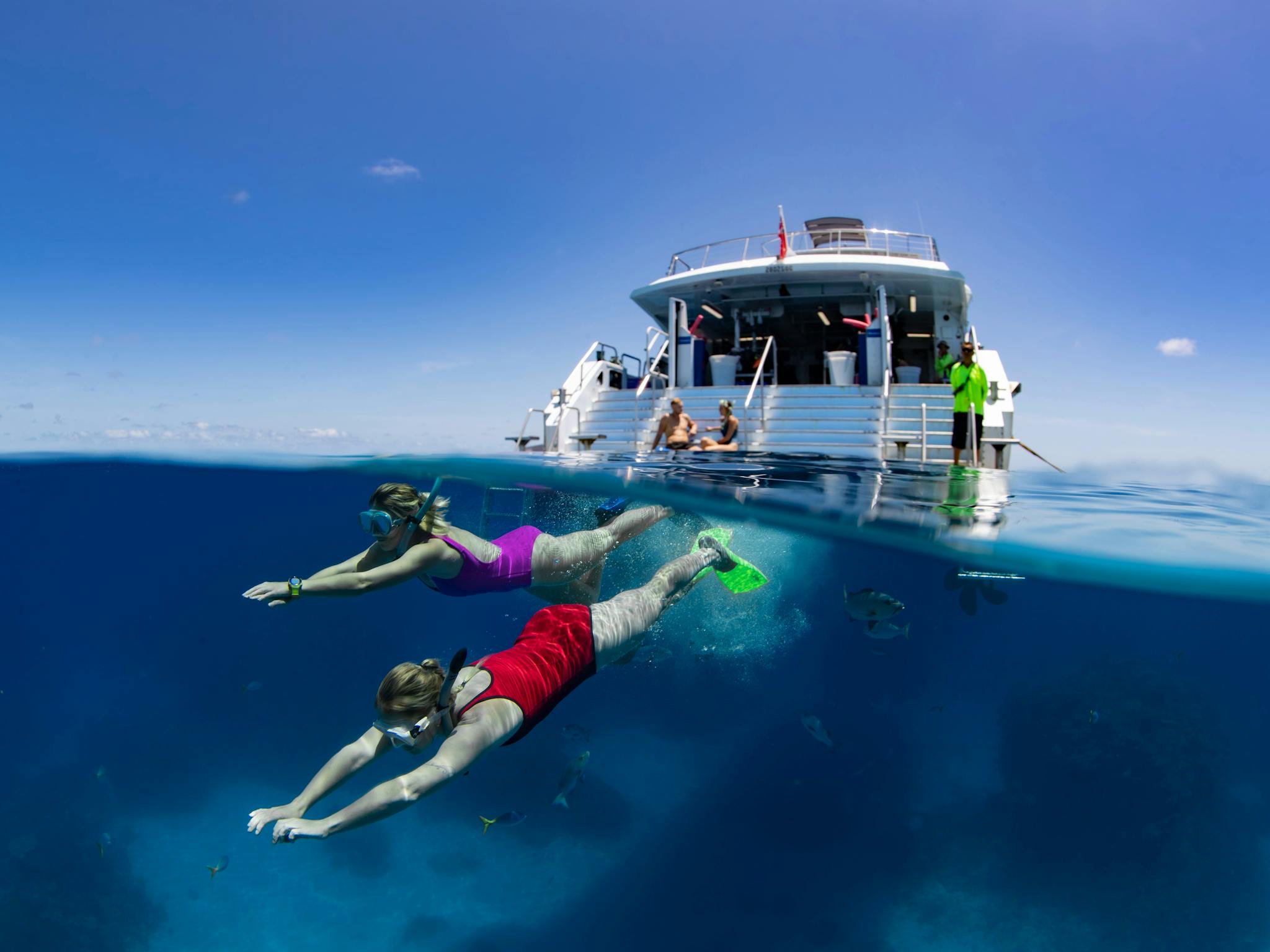Silverswift Great Barrier Reef snorkelling Silverswift Great Barrier Reef snorkelling