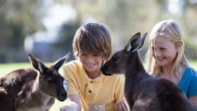 Cleland Wildlife Park