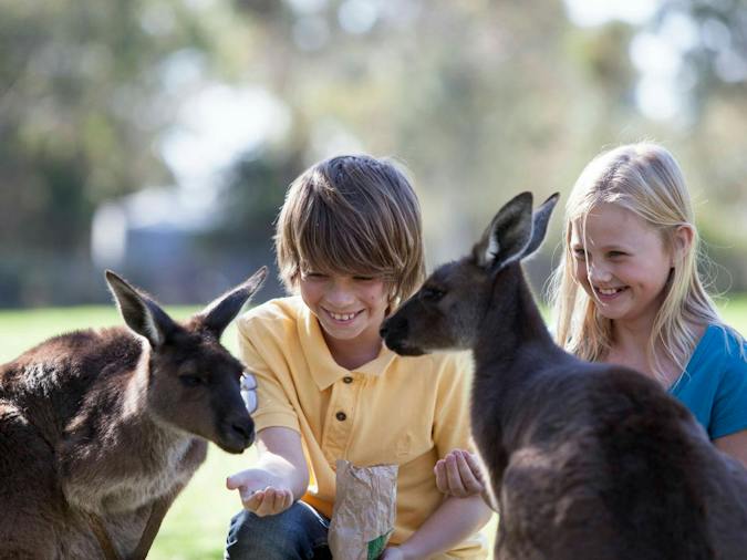 Cleland Wildlife Park - Crafers, Attraction | South Australia
