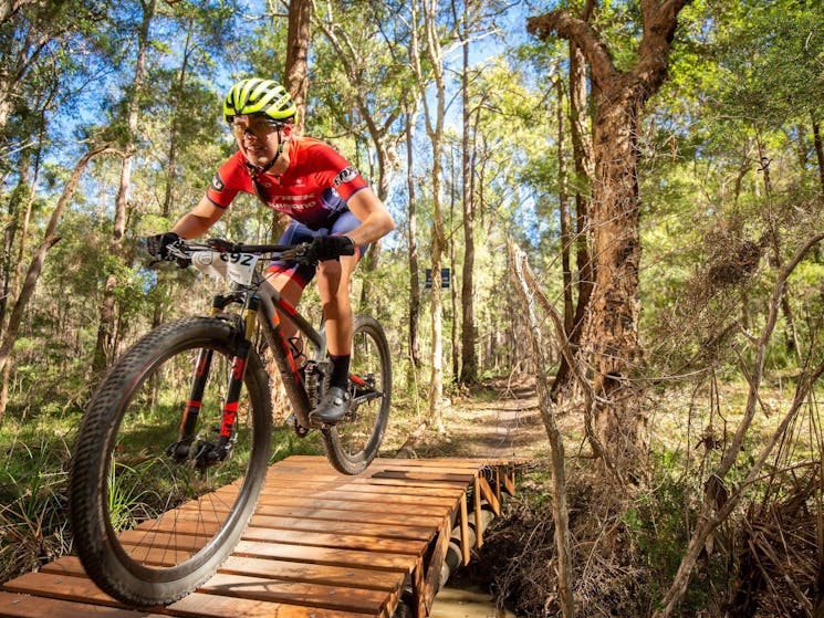 Kalateenee Mountain Bike Trails_Macleay Valley Coast