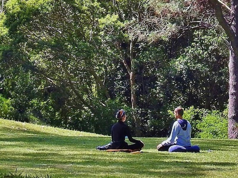 Image for Illawarra International Day of Yoga at Govinda Valley
