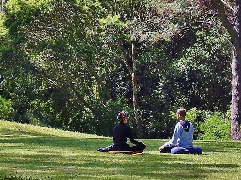 Image for Illawarra International Day of Yoga at Govinda Valley