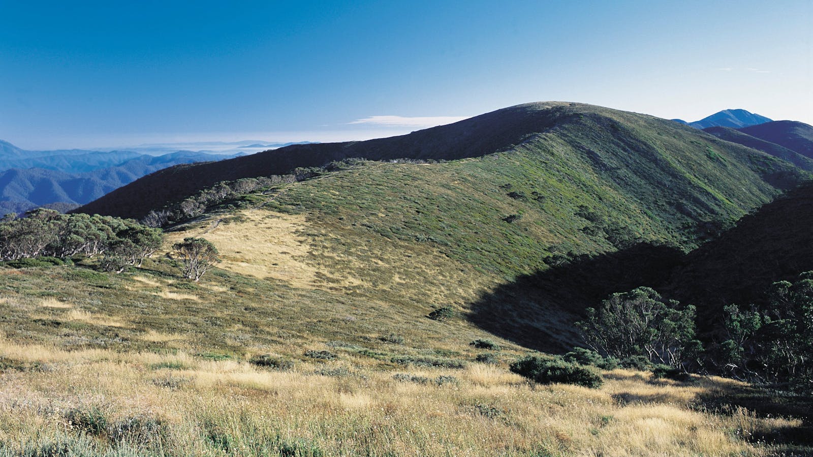Alpine National Park
