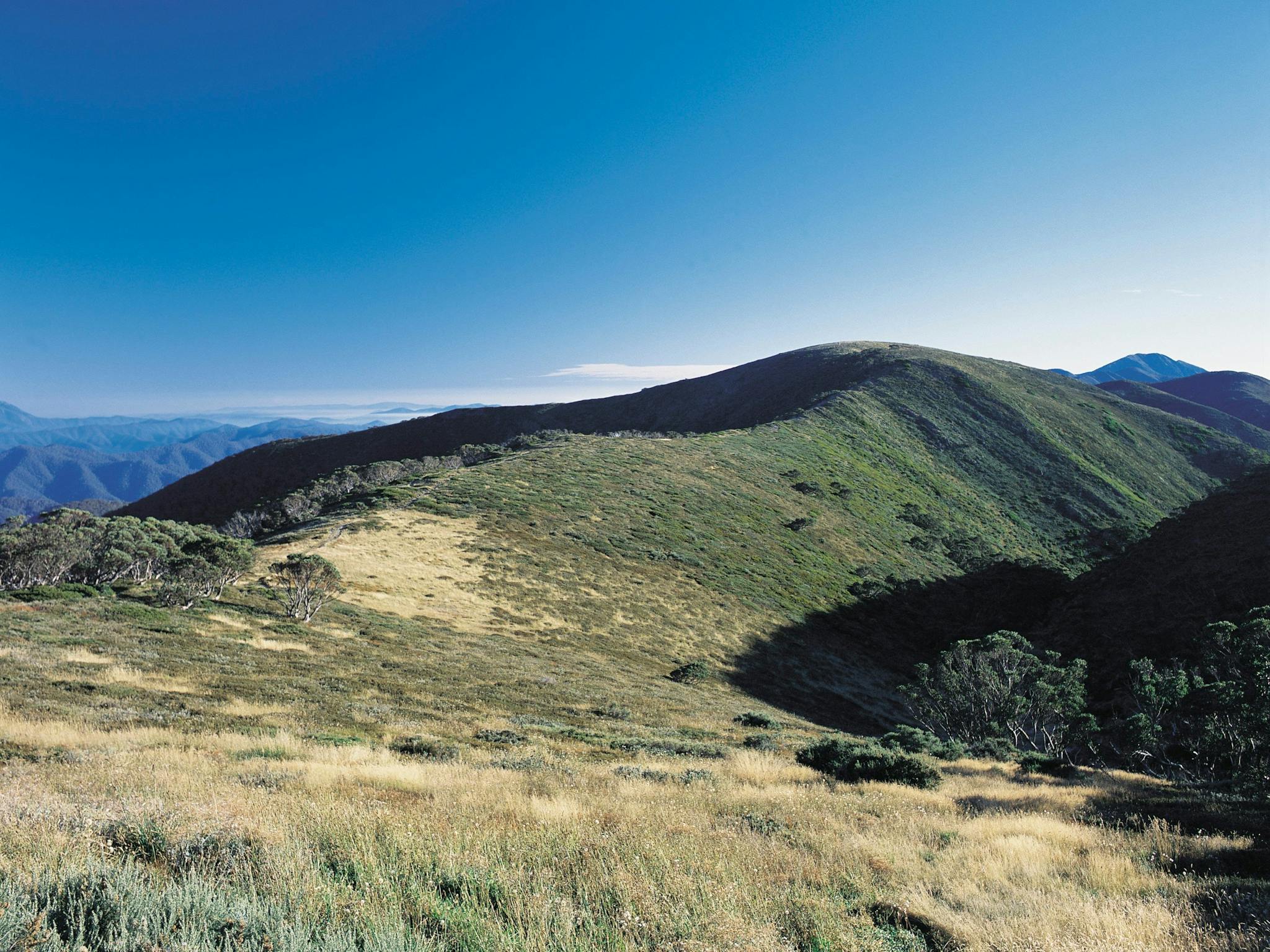 Alpine National Park