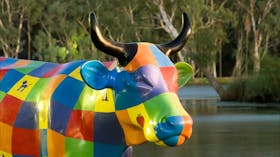 Greater Shepparton Moooving Art