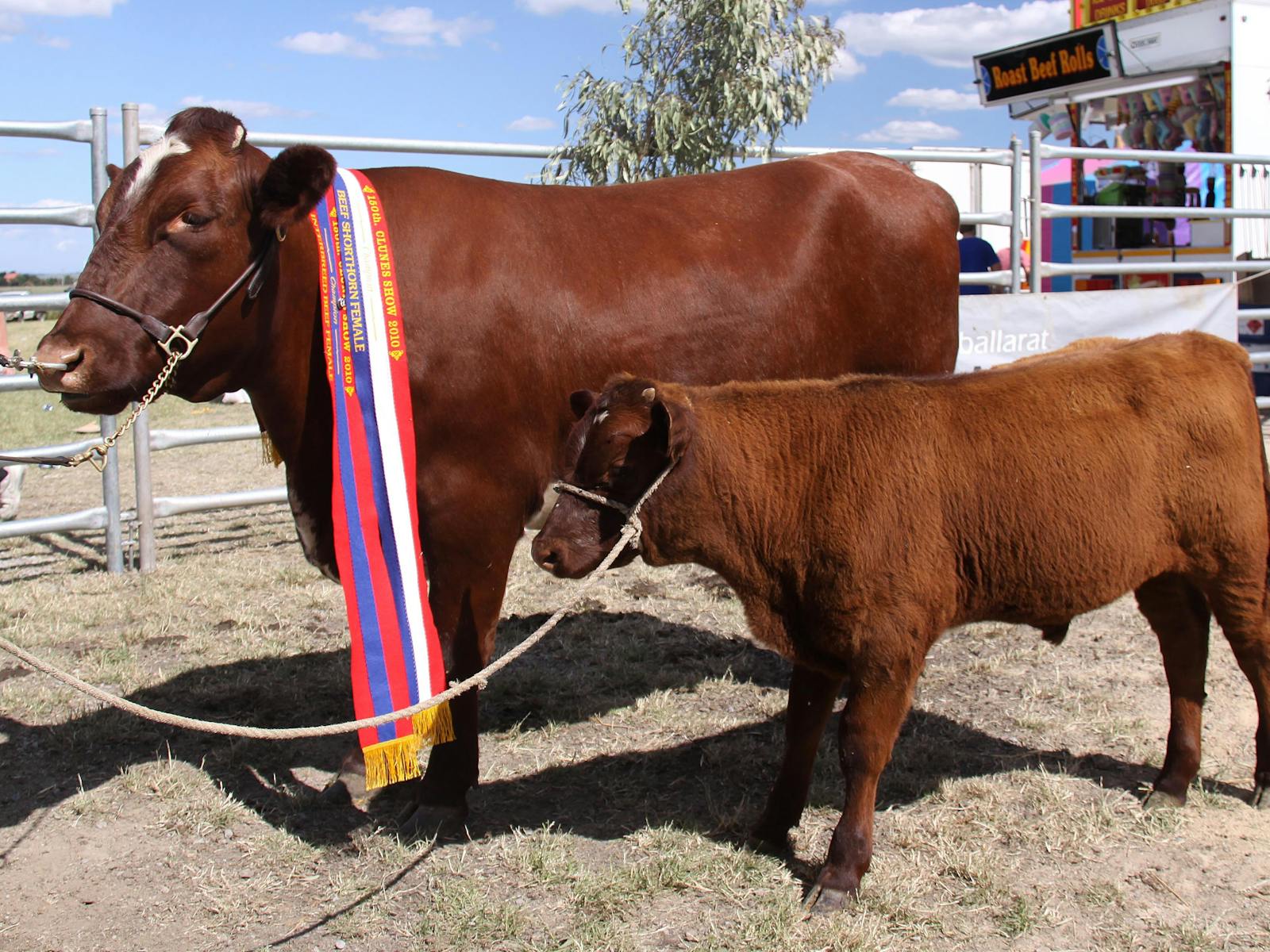 Image for 2022 Clunes Show