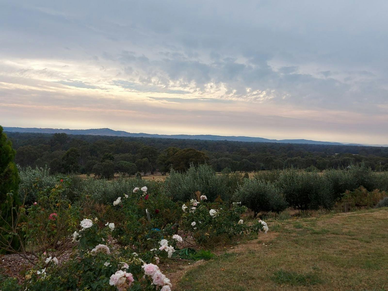 Wine with a view