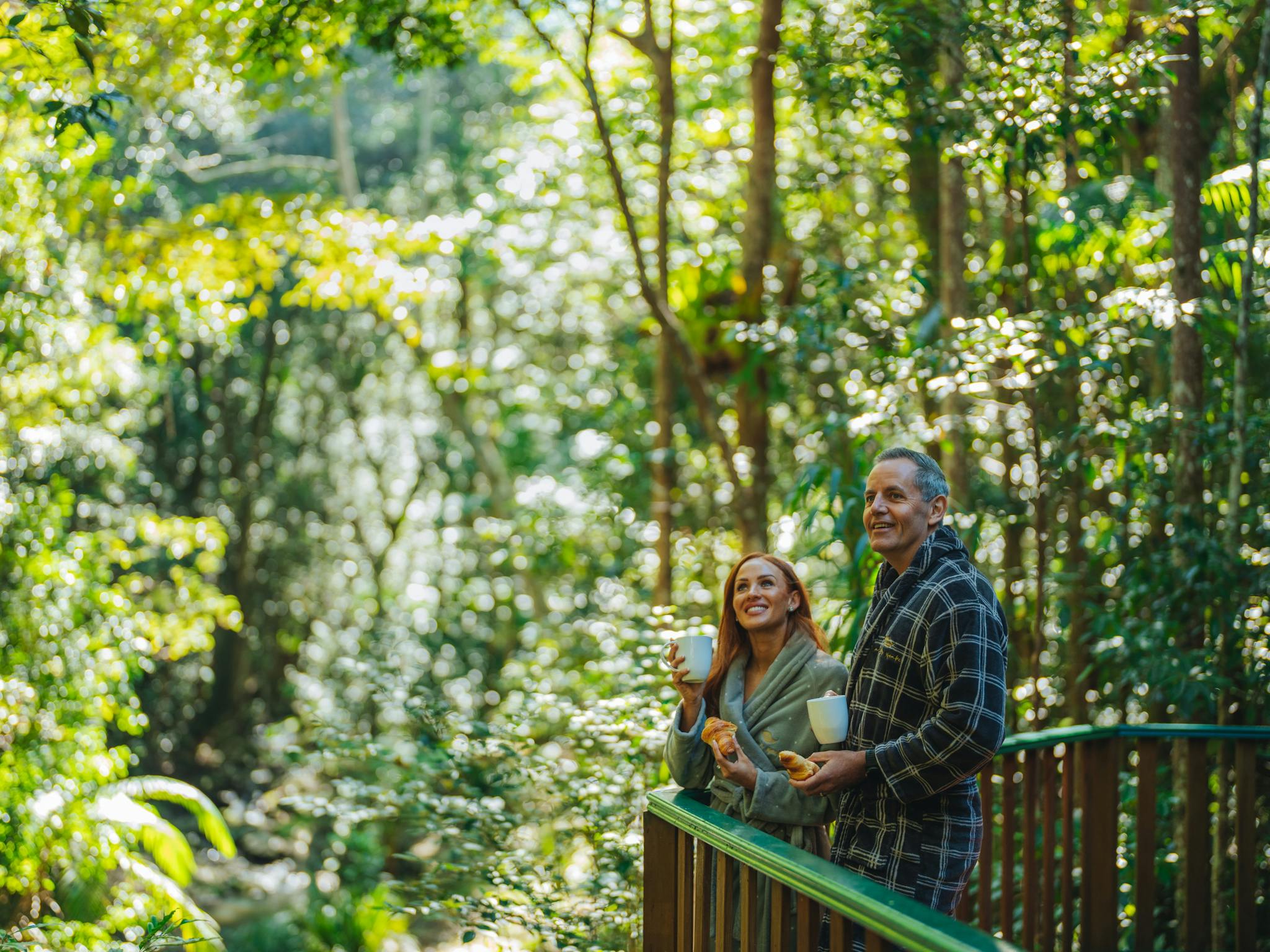 balcony rainforest canopy balcony rainforest canopy