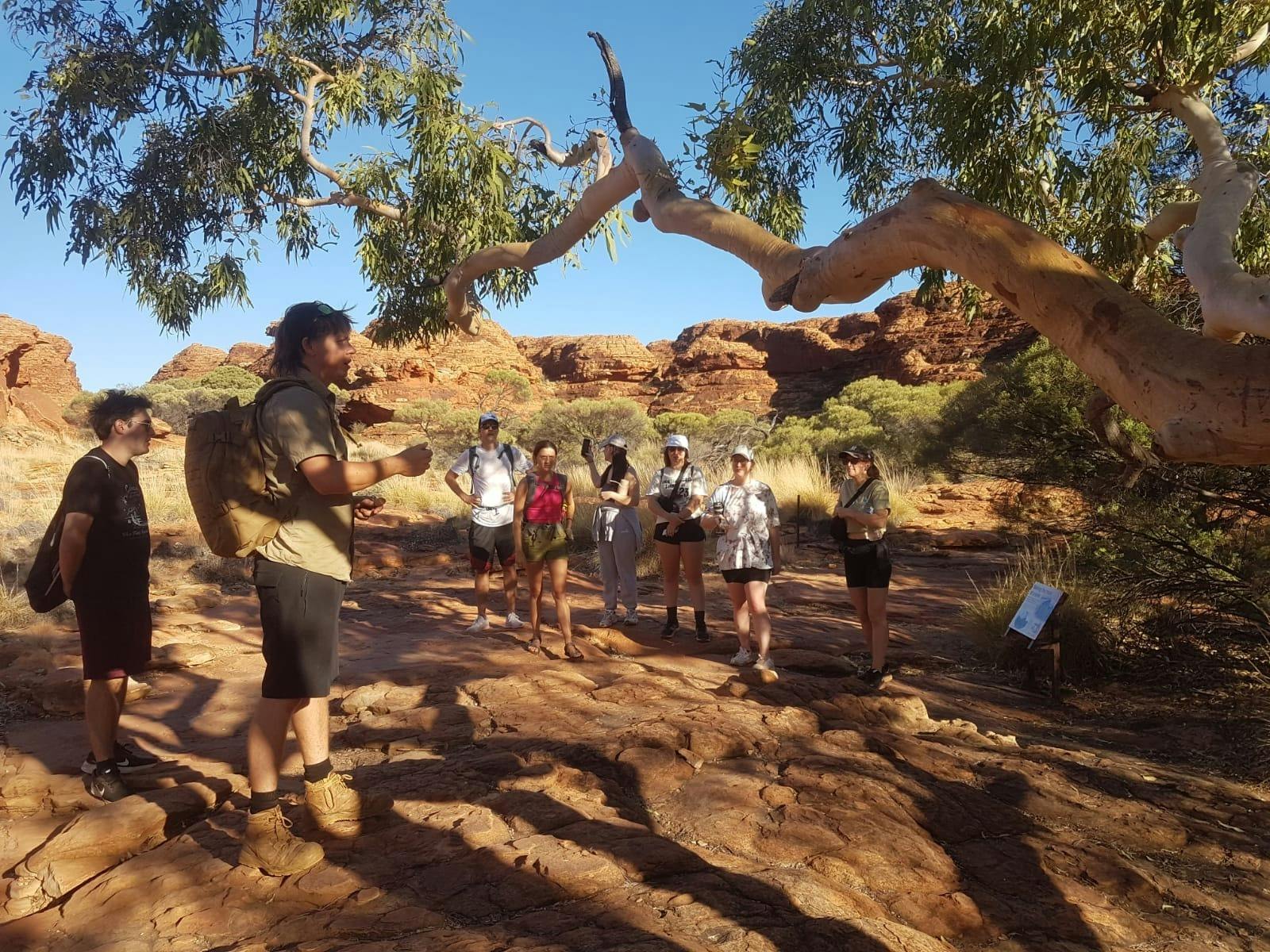 Uluru Adventure (Yulara to Alice Springs)