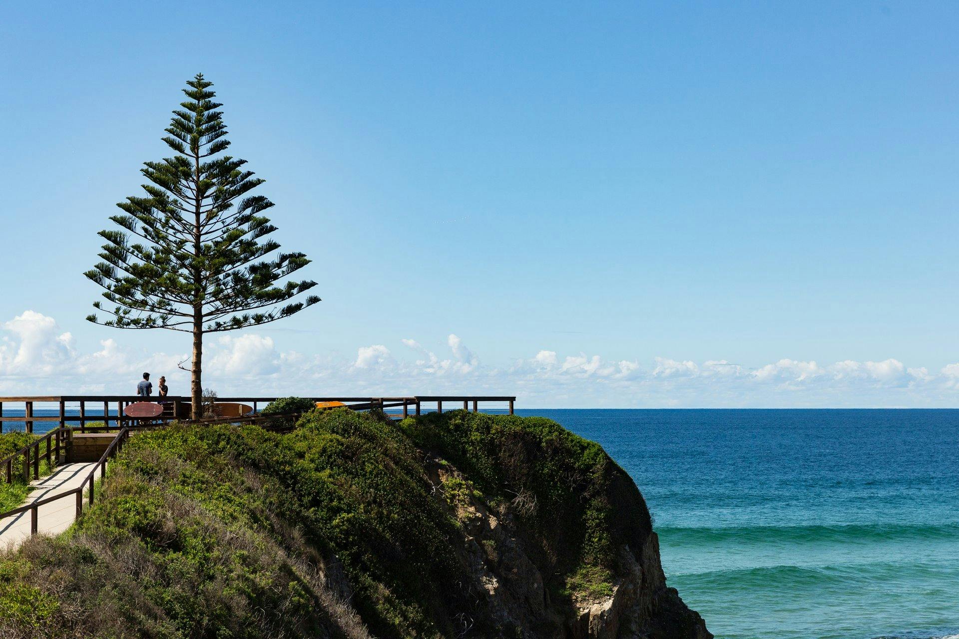 One Tree Point Lookout and Picnic Area | NSW Holidays & Accommodation