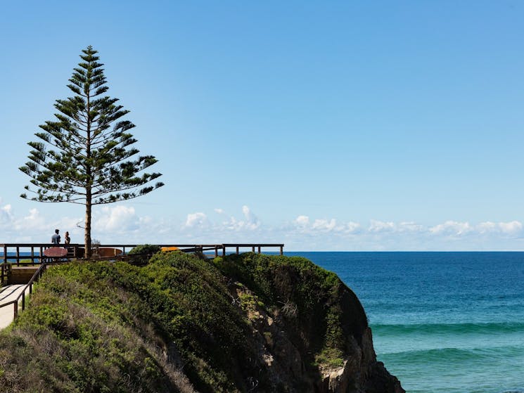 One Tree Point Lookout