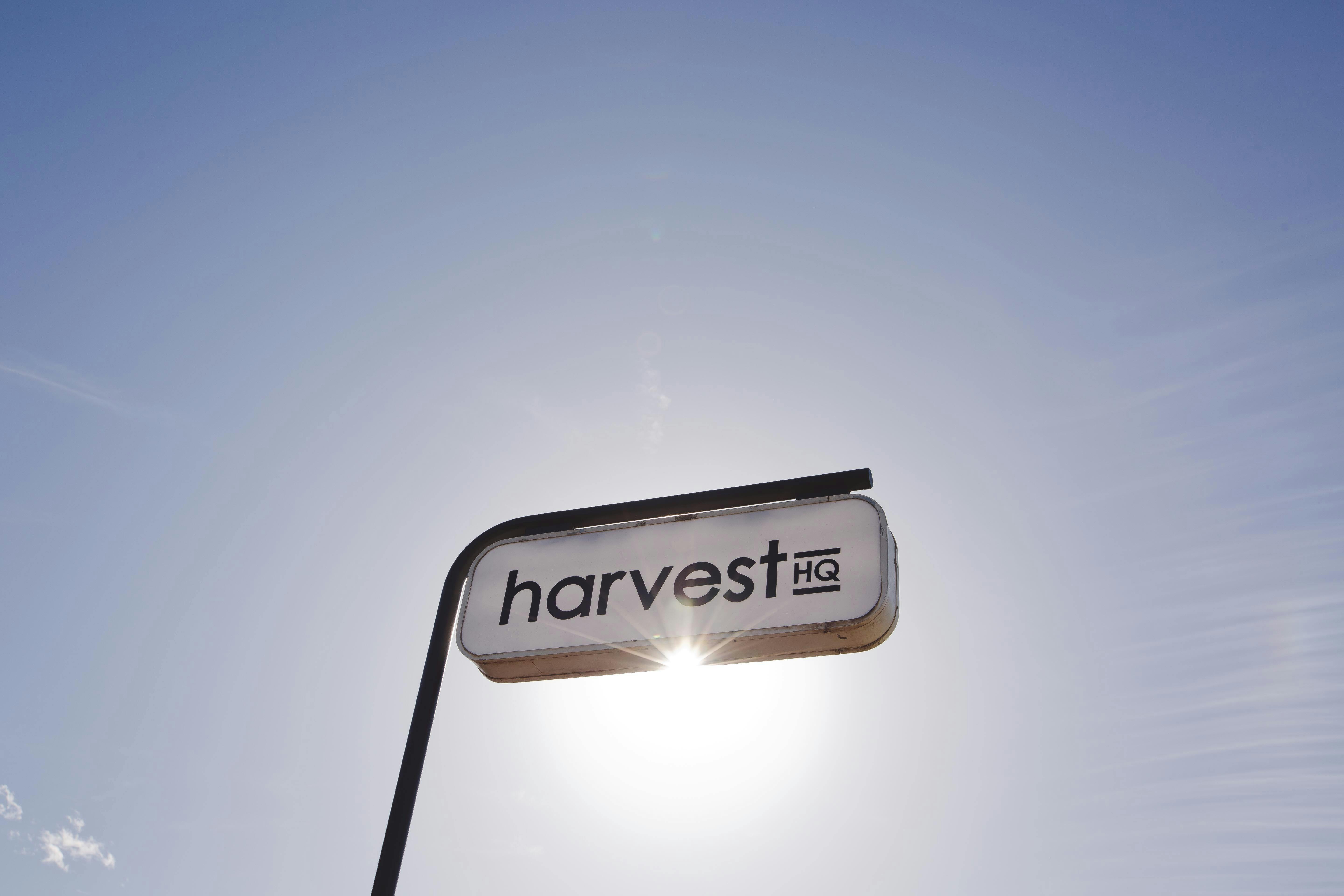 Harvest HQ wine bar Griffith