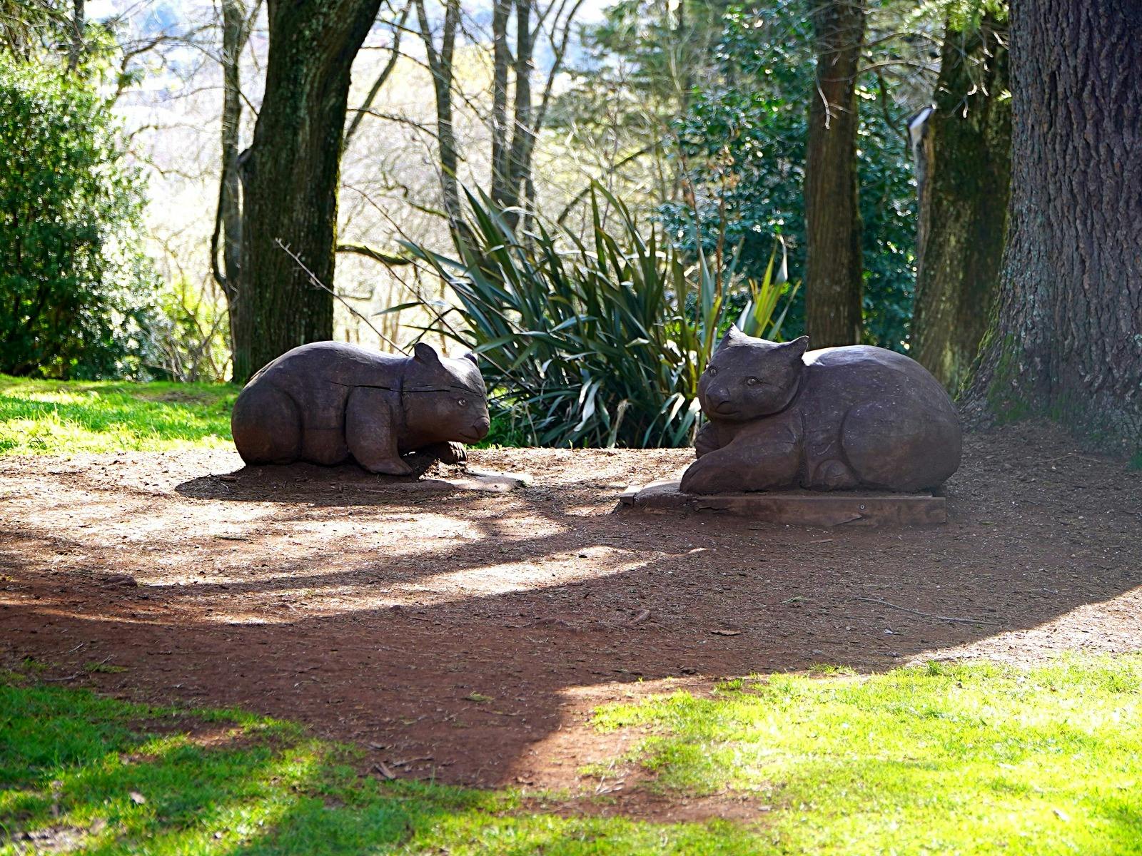 Wombats at the Gardens