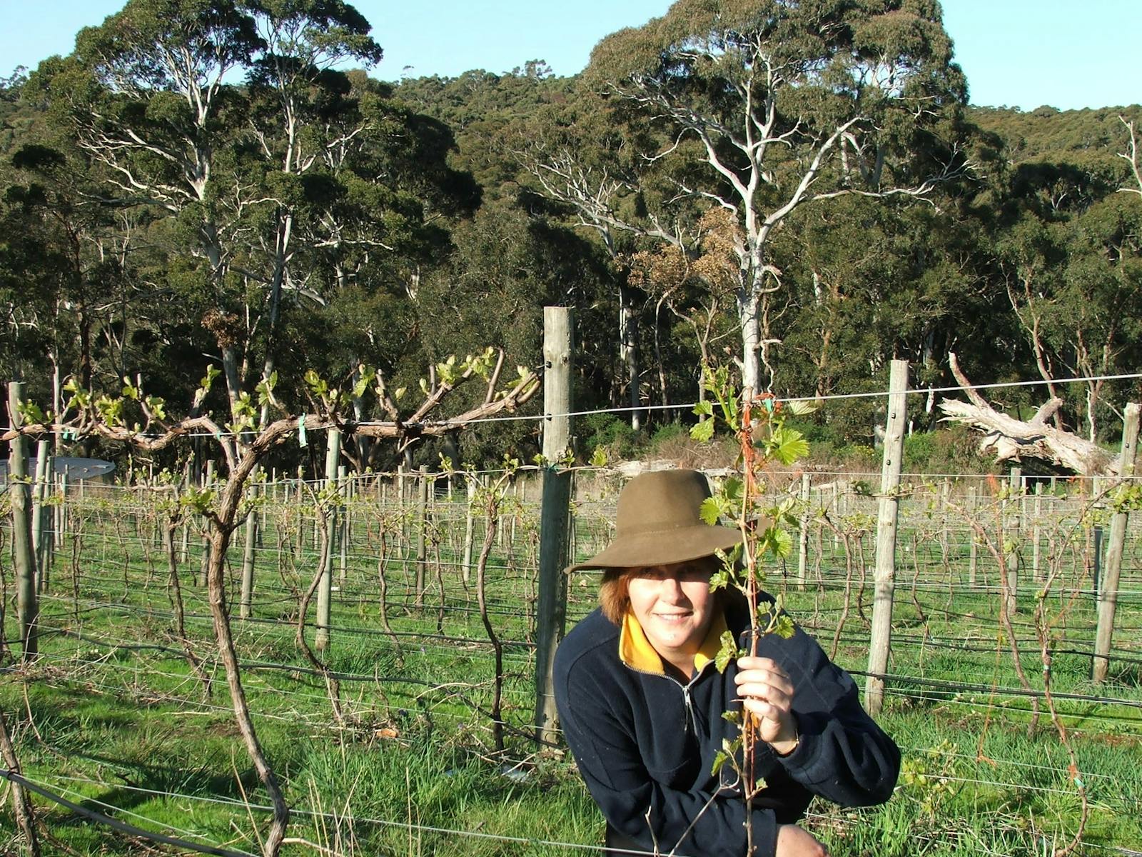 Sinclair's Gully