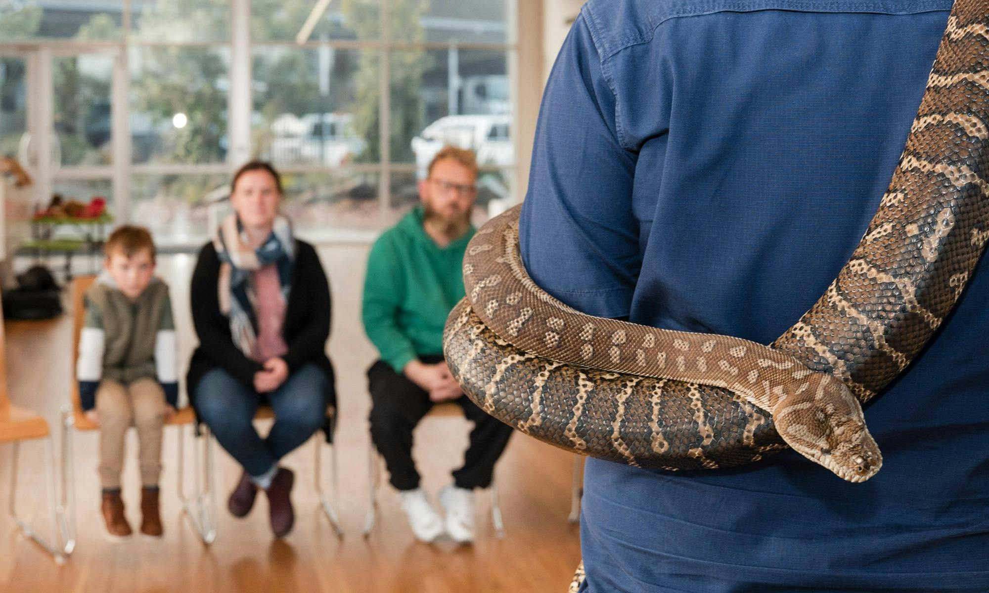 Guests meet a snake at the Wilbur's Wildlife Discovery Centre