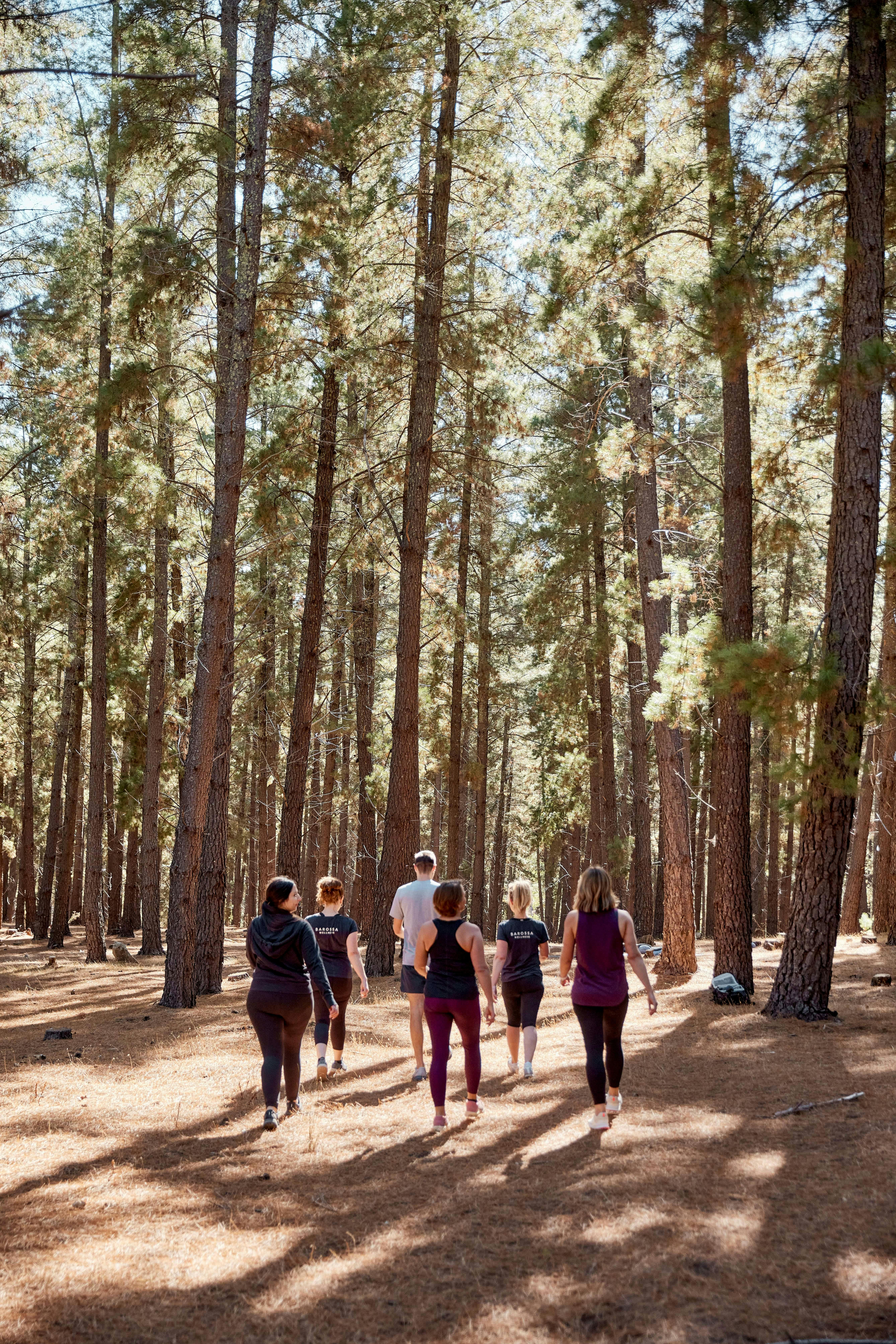 Barossa Hikes