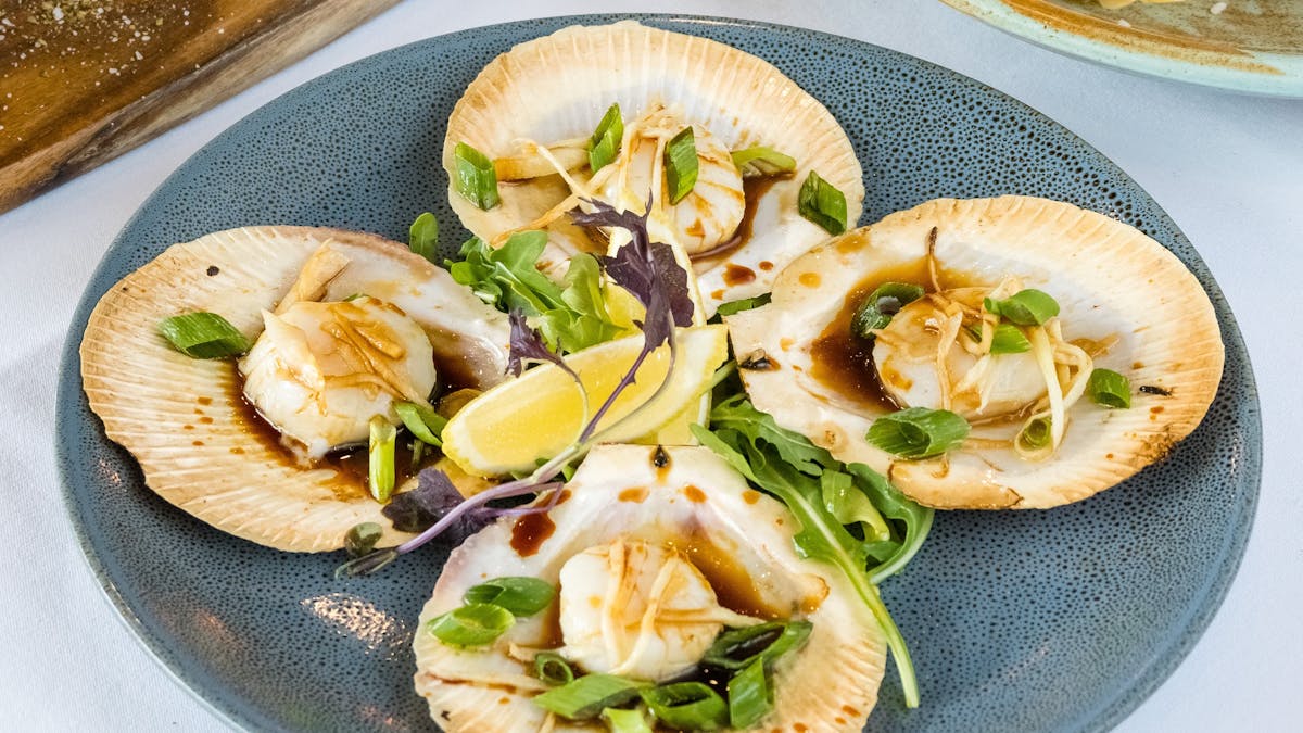 Scallops