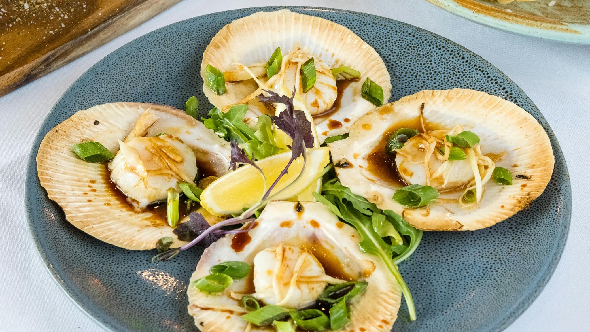Scallops Scallops