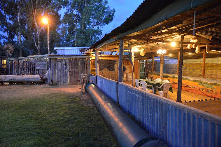 Big Bend By Night Nocturnal Tour and Dinner