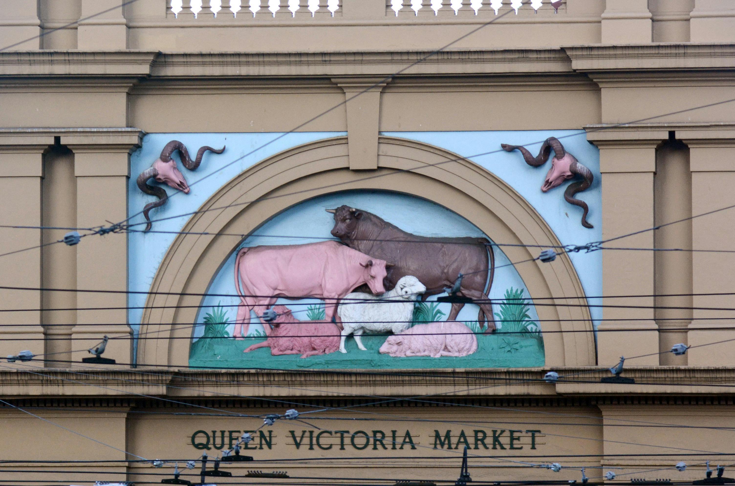 Queen Victoria Market signage featuring cows and sheep