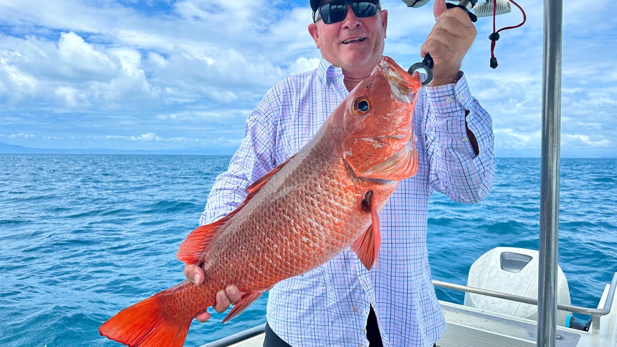 Reef Jack