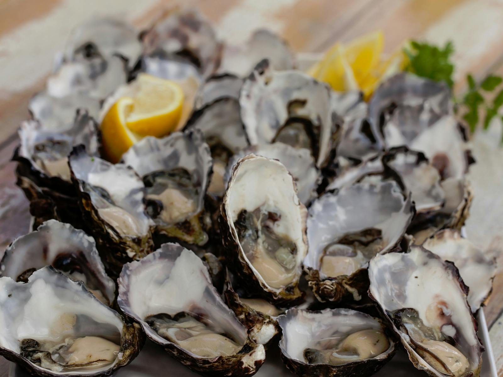 Freshly Shucked Oysters