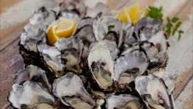 Freshly Shucked Oysters