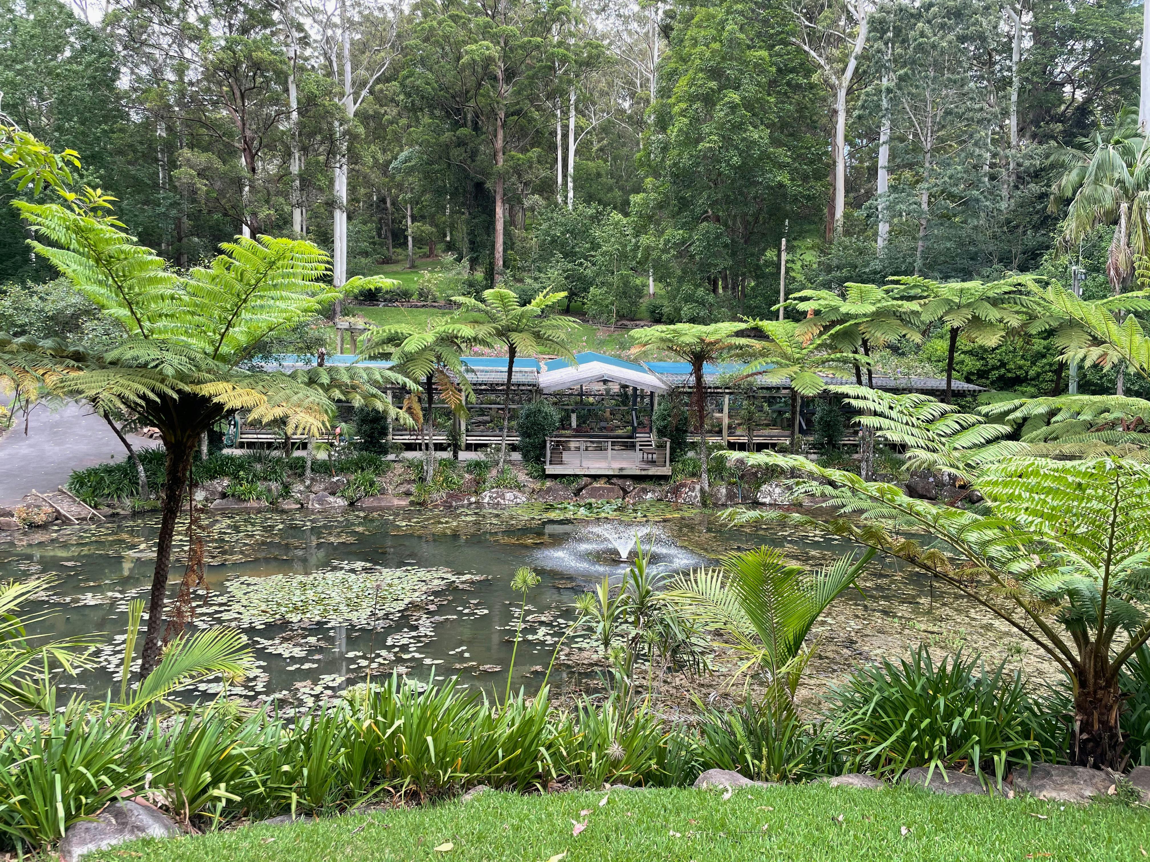 Mount Tamborine -  Wildfire Tours
