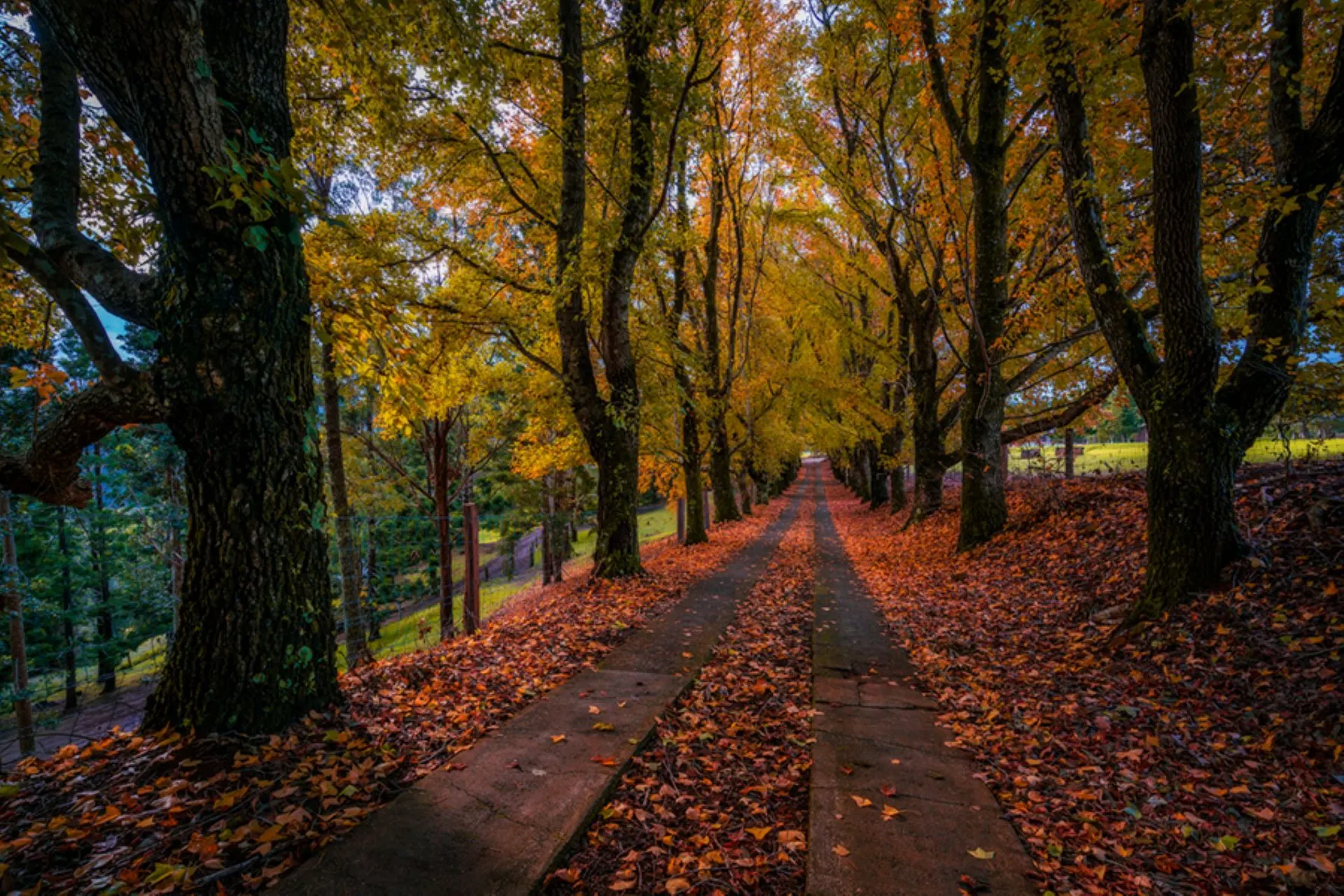 Entrance Driveway