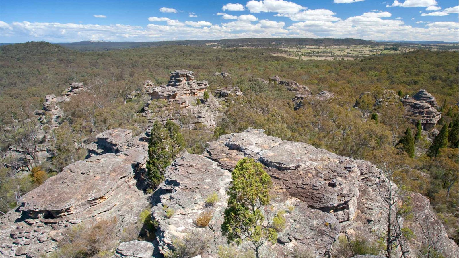 Castle Rocks Walk